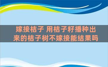 嫁接桔子 用桔子籽播种出来的桔子树不嫁接能结果吗